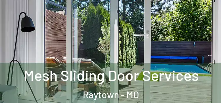 Mesh Sliding Door Services Raytown - MO